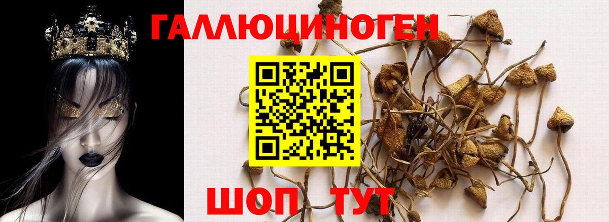 Бутират Гудермес