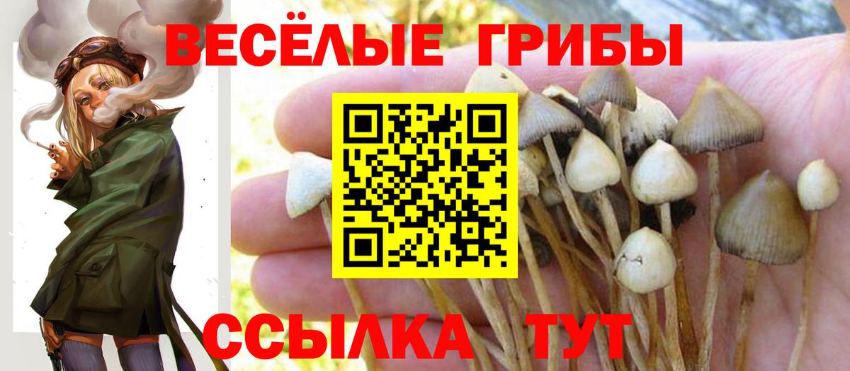 Псилоцибиновые грибы MAGIC MUSHROOMS Гудермес